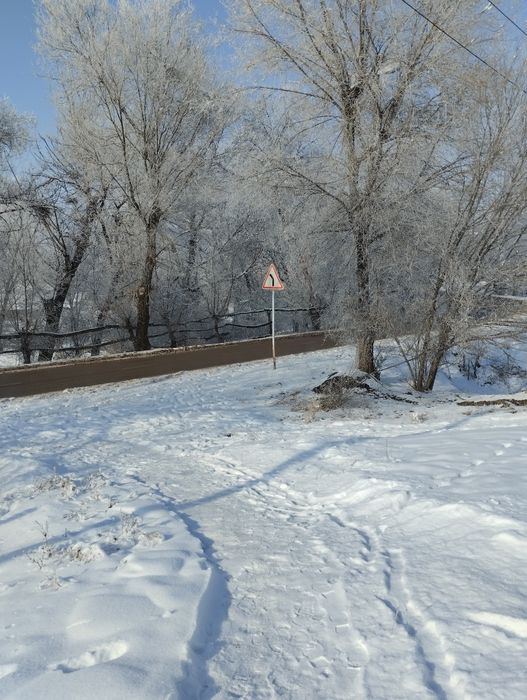 Времянка + жилой контейнер