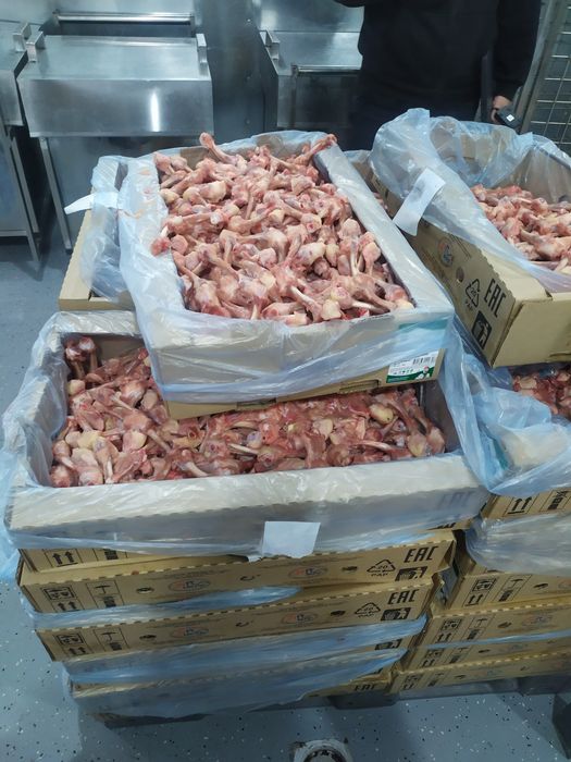 Подам кости куриные трубчатые