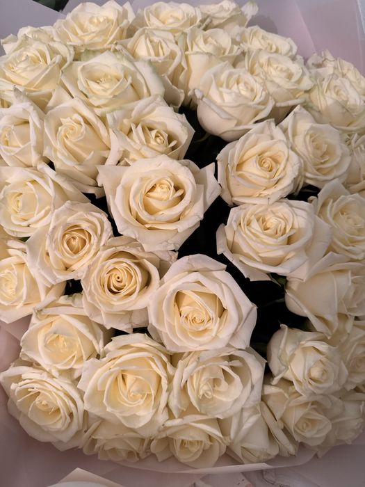 Балғын 51 розалық гүлмен Әдемі үрленген шарик