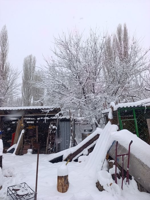 Индюк индюки индюки