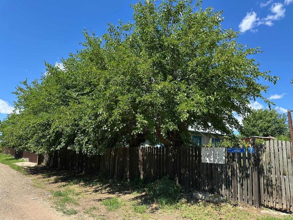 Casă la țară de vânzare în Târnava, Teleorman – locuibilă, teren, foișor, hidrofor, 1500mp