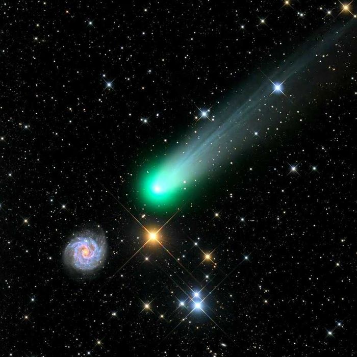 с проживанием на дом