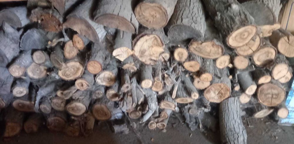 Продаются дрова:  пеньки :  клен тополь и орех.