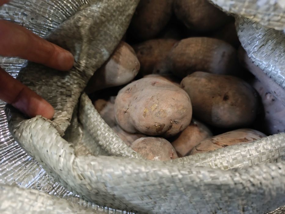 Продам картофель домашние