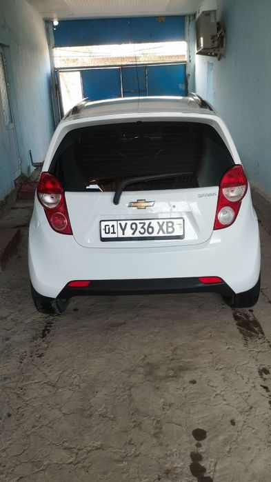 Navarotlari kobilt diska arginali archa balonlari bilan gazi bor