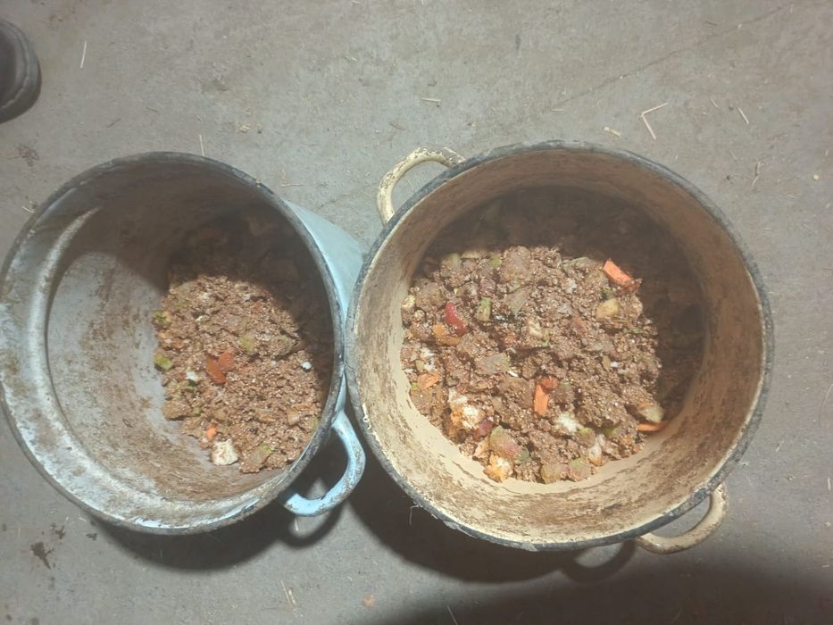 Продам Баран , на хорошем откорме.
