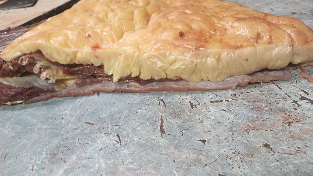 Мяса конины, доставка бесплатно .