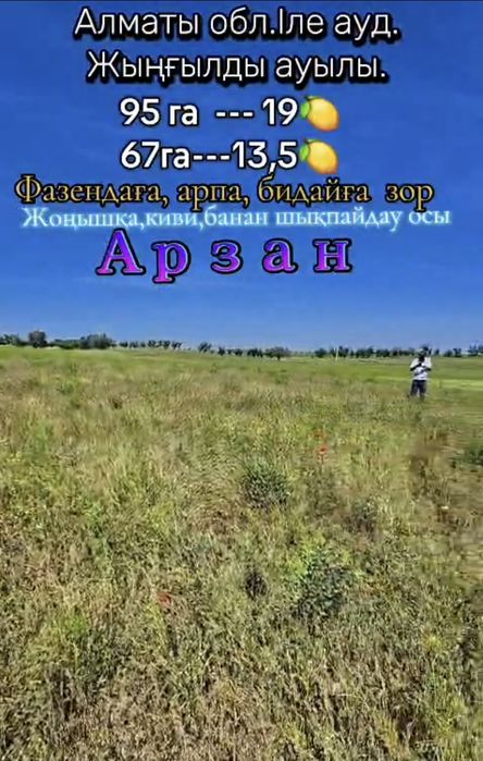 Фазендаға арзан жер сатылады ! Илиский район !