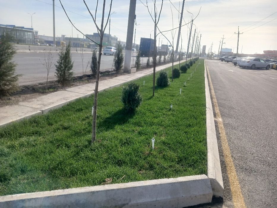 Gazon ekish xizmati.