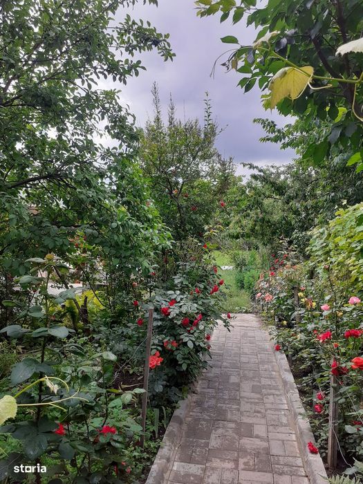Vând grădină în Târgu Frumos