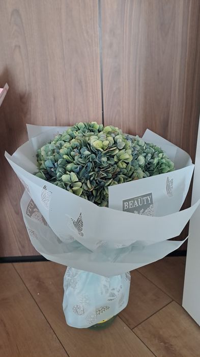 Гүл гартензия цветы