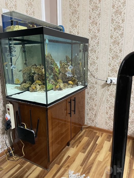 Akvarium 250 L + tumba, filtr va barcha jihozlari bilan