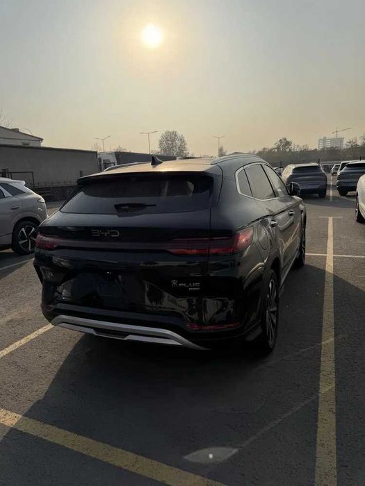 byd chempion pod zakaz