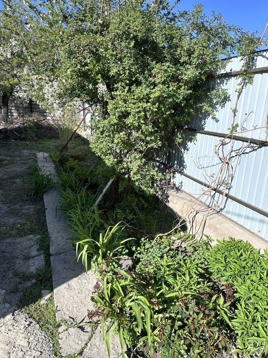 Продам  5 комнатный дом