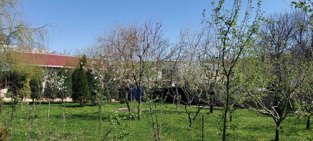 СРОЧНО! Продается СВОЯ дача