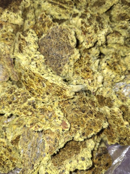 Макта шроты. Хлопковое жмых