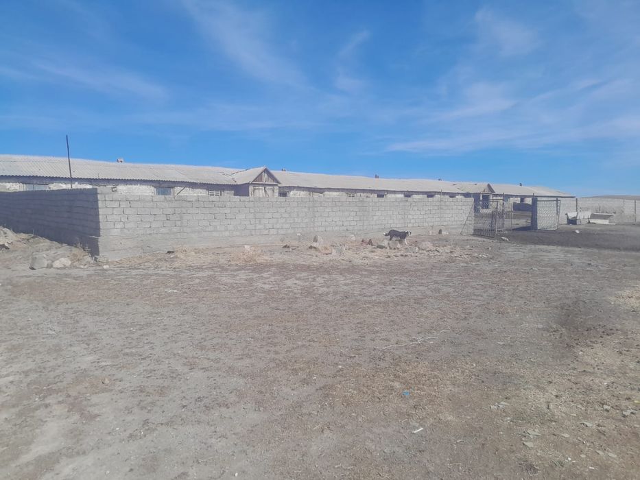 Фазенда сатылады