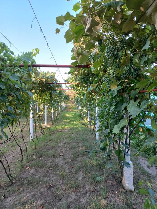 Casa de vanzare Motru