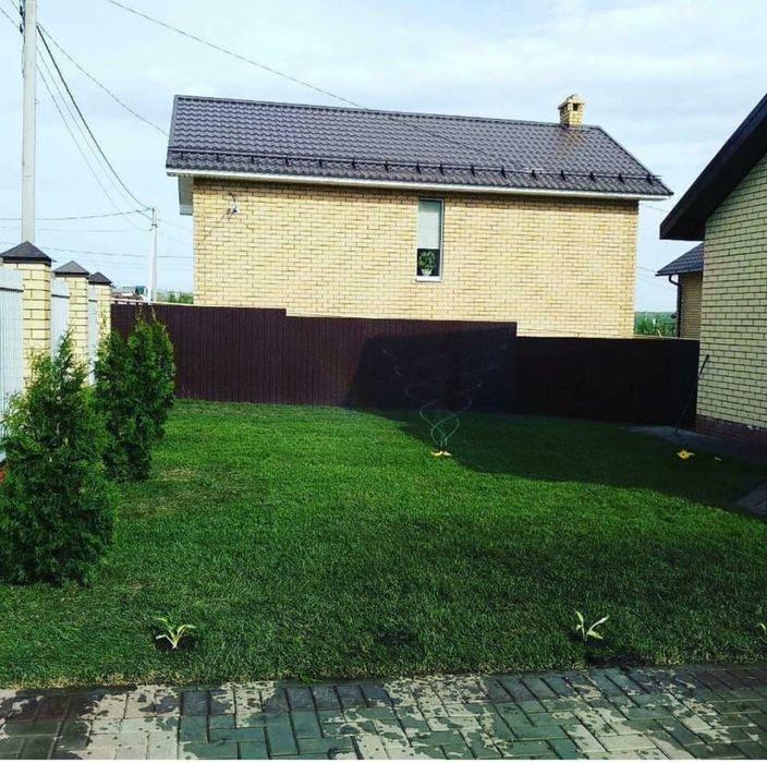 Газон зеленый  сочный  газон