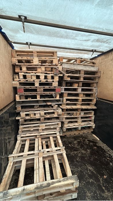 Поддоны штучно 800 оптом 500