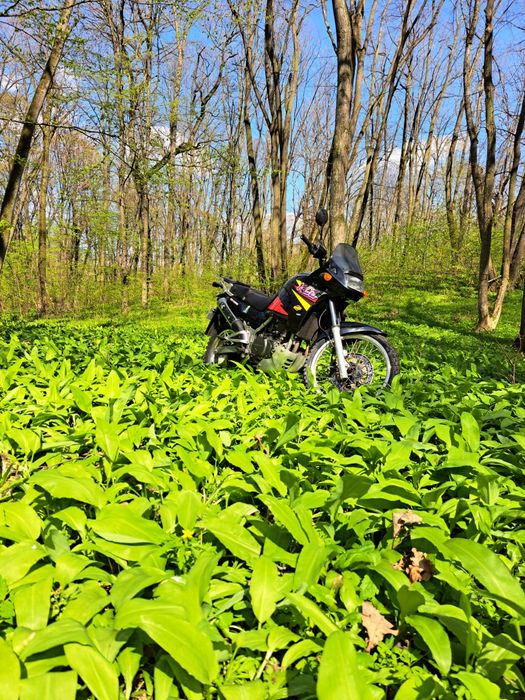 Kle 500 de vanzare