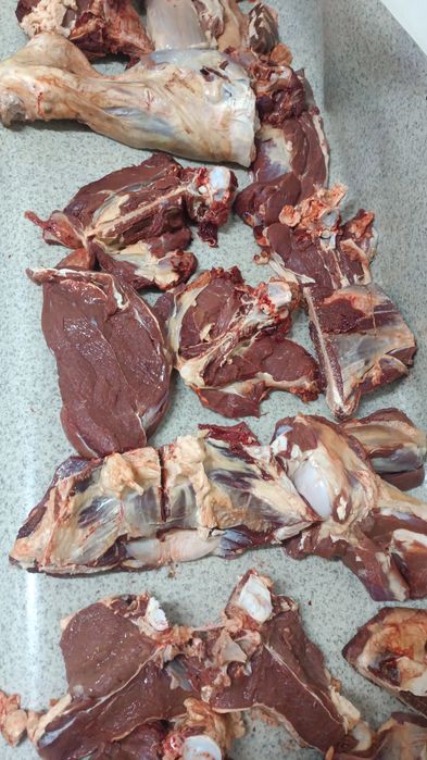 мясо гавадина даставка есть