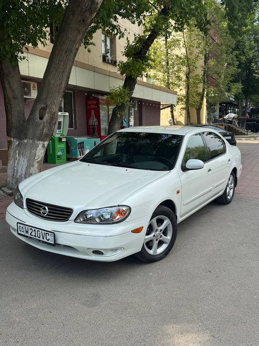 NESSAN MAXIMA sotiladi .