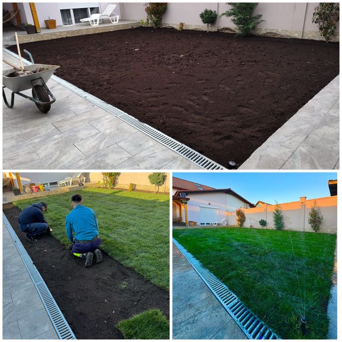 Amenjari Spatii Verzi Arad