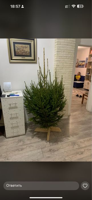 Новогодние елки 10.000