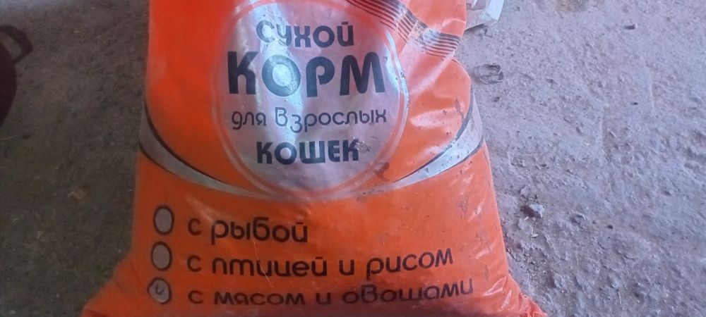 Сухой корм для кошек