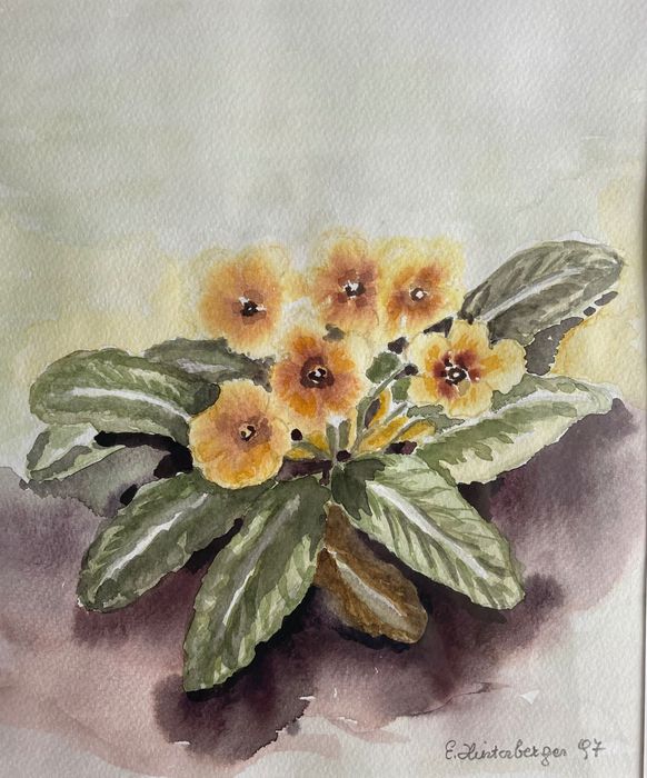 Картина акварел иглики подписана