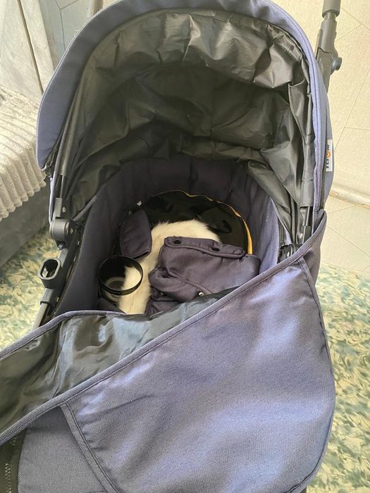 Каляска детский сатлады