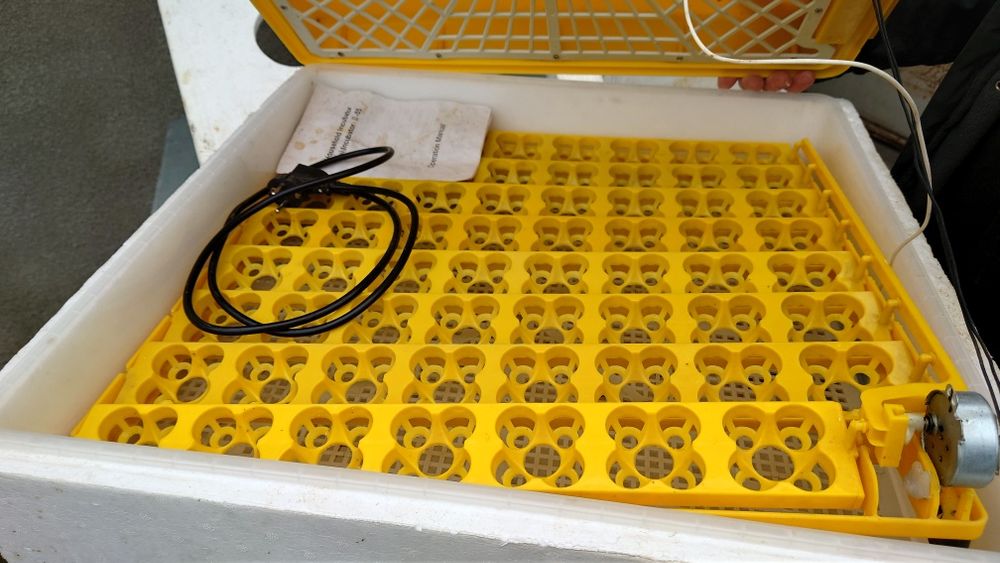 Инкубатор за 63 яйца(252 пъдпъдъчи)