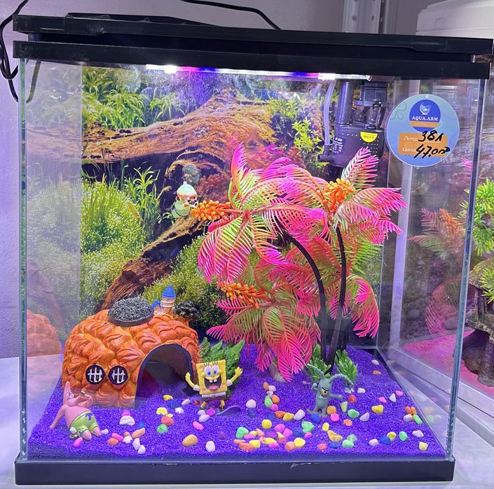 Новинки заводских  аквариумов ‼️‼️