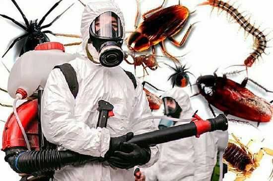 Дезинфекция в Ташкенте (Гос.Лицензия) без запаха