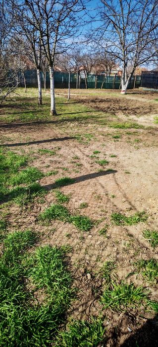 Casă renovată complet, 3 dormitoare, 780 mp teren – zonă excelentă Pec