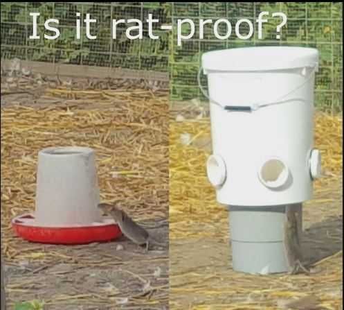 Hranitoare automata/gravitationala 20l, 4 spatii de hrana pt.20 pasari