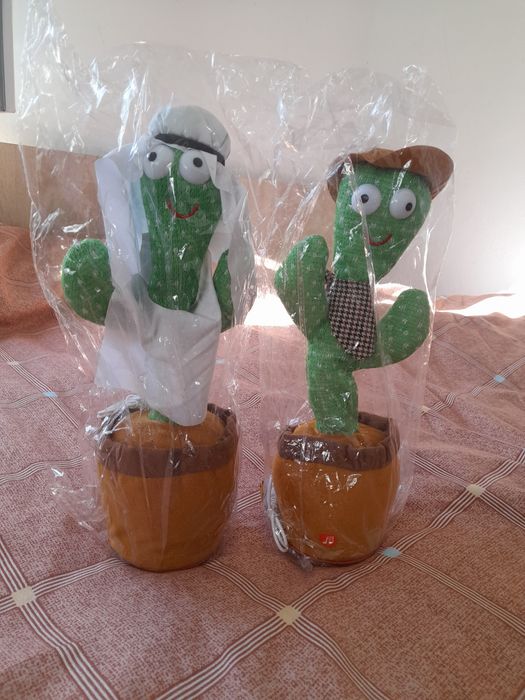 Cactus de vânzare