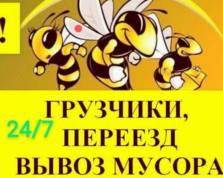 Вывоз мусора/подъем стройматериалов.