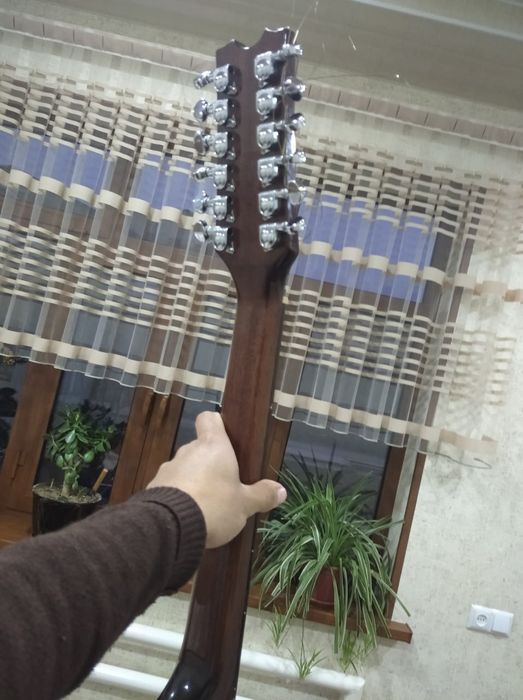Tiger eyes  gitara 12 strunniy, professionalniy