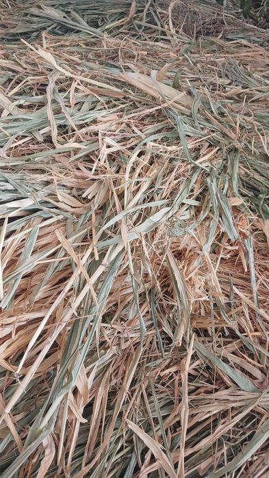 Макка поя сотилади.