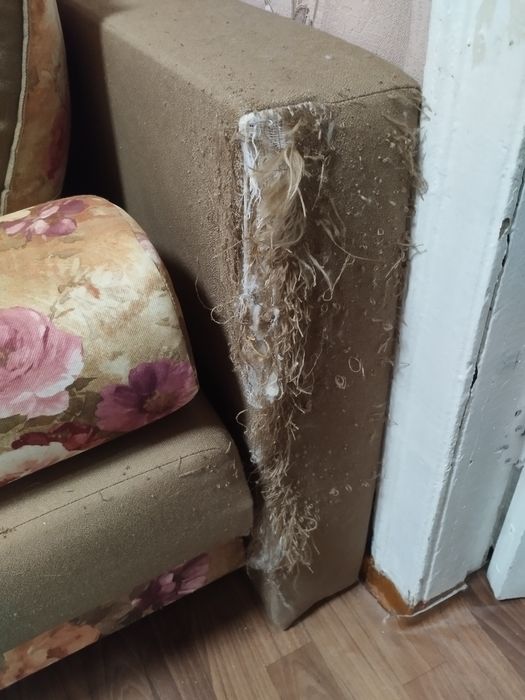 Продам диван - тахта