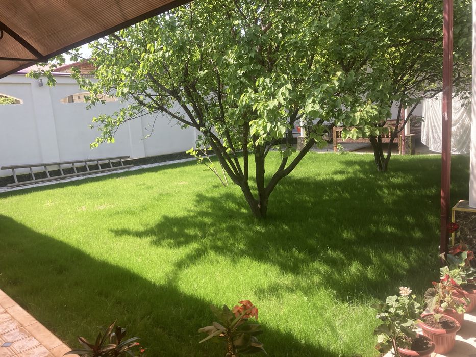 Gazon landshaft palif