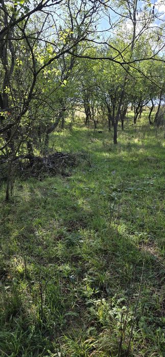 Teren zona superba