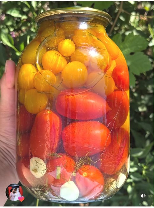 Маринованные огурцы