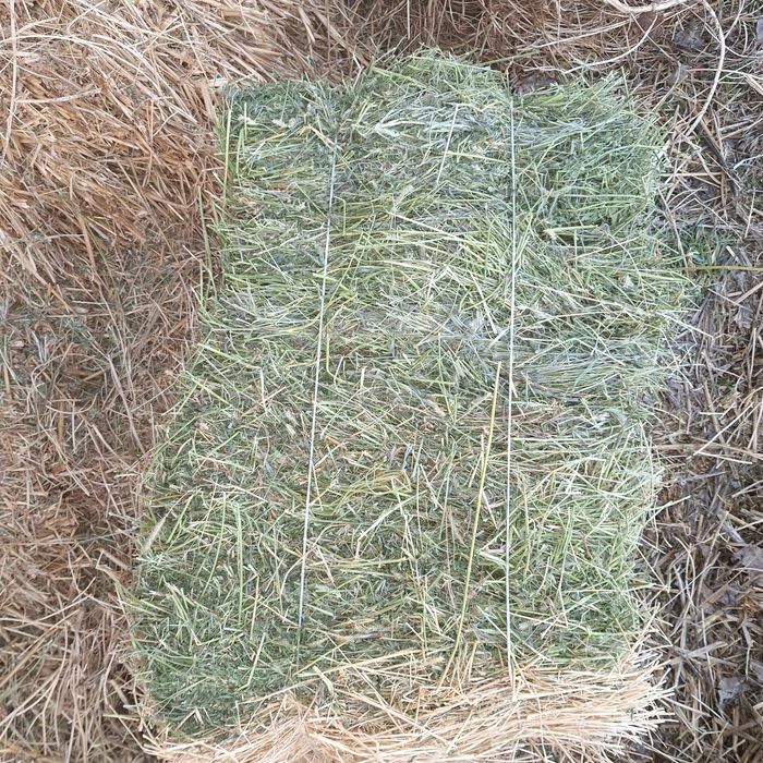 Beda pres va  hashak boglamlar