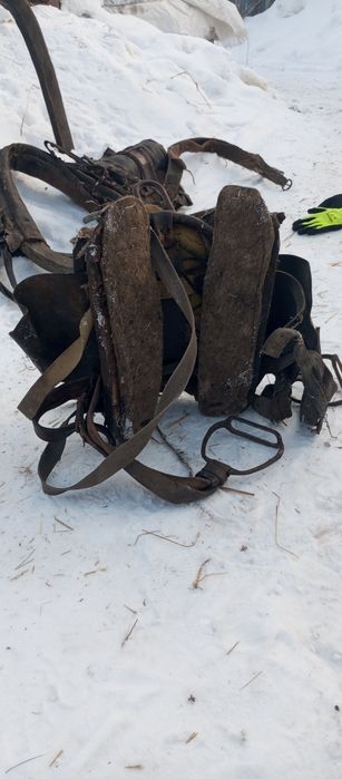 Сбруя и седло продам