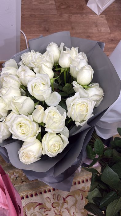 Свежий гулдер.  Тт