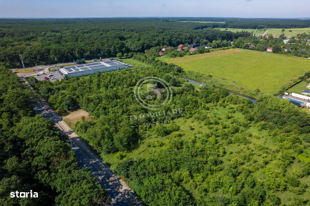 Teren 5.515 mp langa Lidl Snagov – Iesire la Lacul Snagov