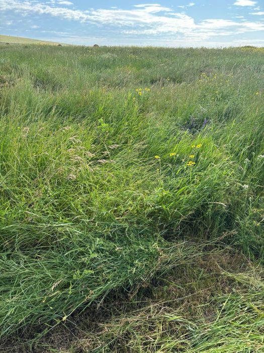 Baloți mari rotunzi amestec ierburi perene